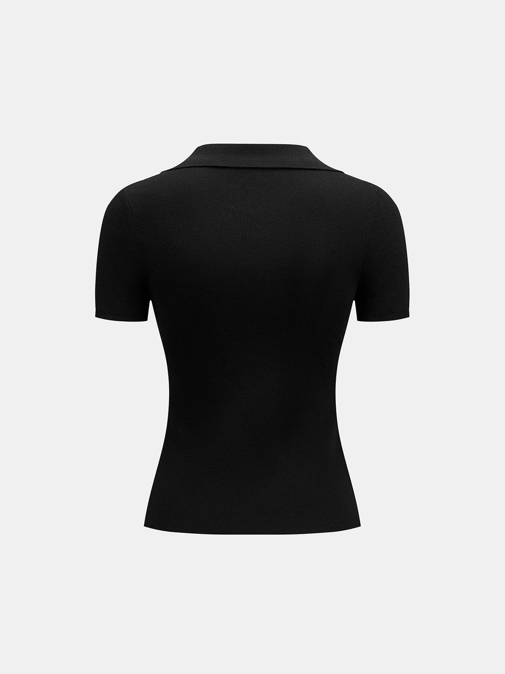 Sheer Panel Knit Top with Polo Collar
